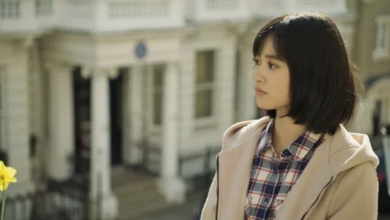 Meteor Garden