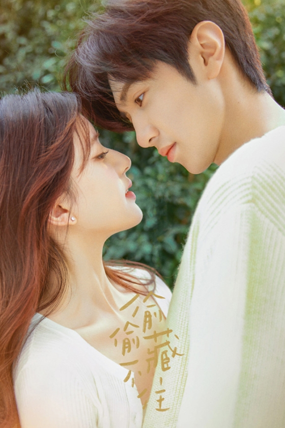 Hidden Love