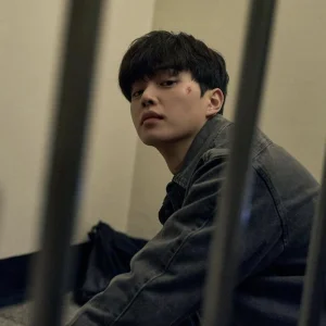 Korean Lover