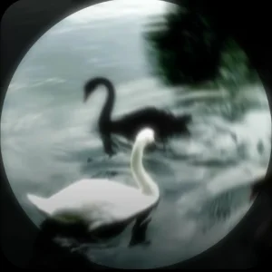 ᥫ᭡.°★.⋆ᥫ᭡