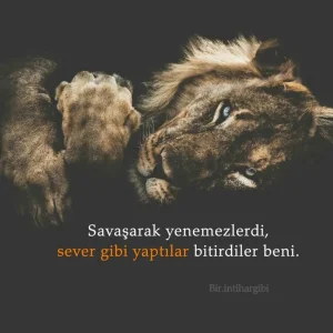 Meral